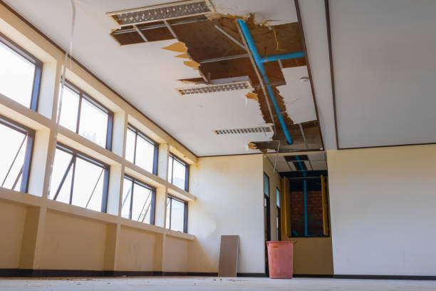 Best Water damage cleanup near me  in Glenwood Landing, NY