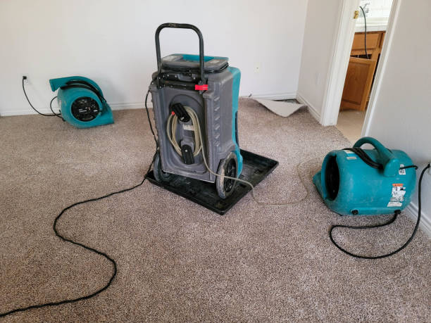 Best Carpet water damage restoration  in Glenwood Landing, NY