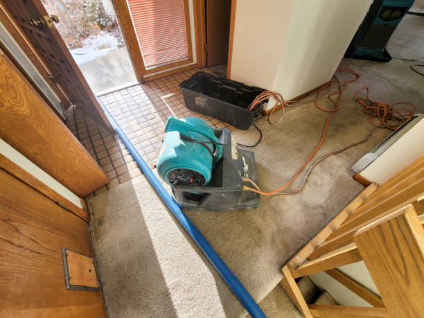 Best Water damage restoration mold remediation  in Glenwood Landing, NY