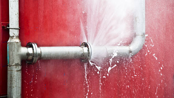 Best Professional water damage repair  in Glenwood Landing, NY