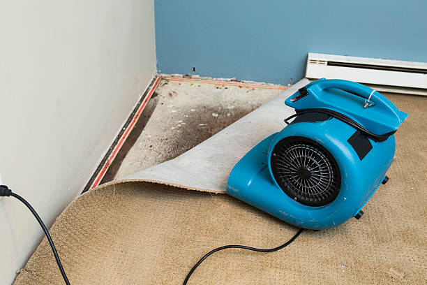 Best Carpet water damage restoration  in Glenwood Landing, NY